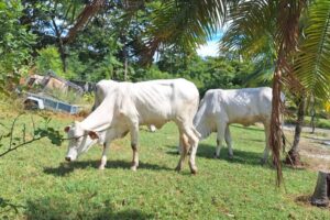 20251201_113015 20251201_113015