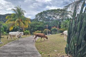 20251215_140658 20251215_140658