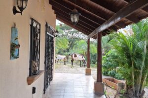 20251217_084146 20251217_084146