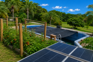Finca Aquaponics 1 Finca Aquaponics 1